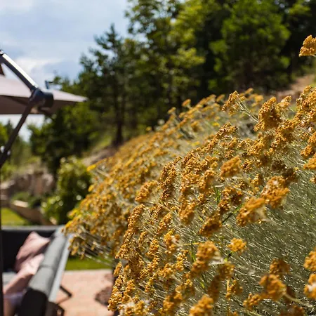 Ana With Private Pool Apartamento